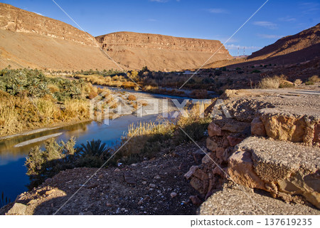 Ziz river flowing through date palm oasis in morocco Ziz river flowing through date palm oasis in morocco 137619235