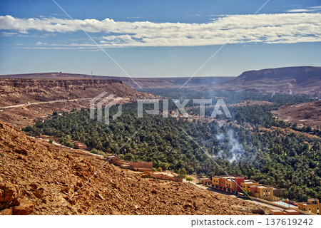 Ziz valley palm oasis in morocco desert landscape 137619242