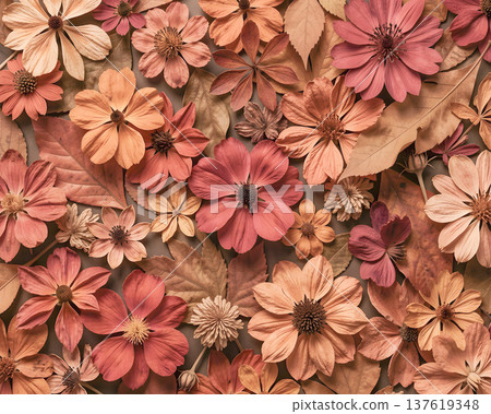 Purple and red tones dried flowers  as a background 137619348