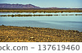 Dayet srij lake reflecting mountains and desert flora 137619460