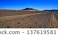 Dirt road forking across arid desert landscape 137619581