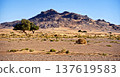 Rocky desert landscape featuring a lone tree standing under blue sky 137619583