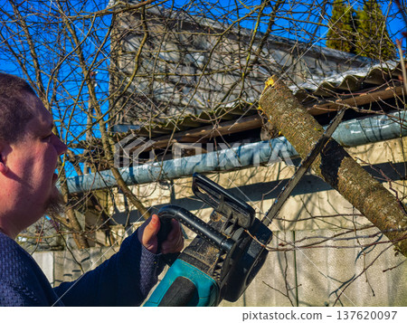 Man cutting a tree branch with an electric chainsaw while pruning in a sunny backyard, performing outdoor garden maintenance with focused effort and safety gear visible. Man cutting a tree branch with an electric chainsaw while pruning in a sunny backyard, performing outdoor garden maintenance with focused effort and safety gear visible. 137620097