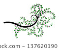 Elegant decorative ornament, baroque divider with floral design 137620190