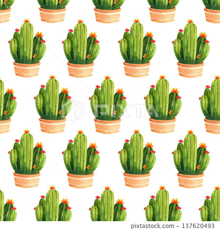 Seamless pattern with cacti in decorative brown pots. Watercolor illustration of houseplants for home and garden, decor, and fabric. Seamless pattern with cacti in decorative brown pots. Watercolor illustration of houseplants for home and garden, decor, and fabric. 137620493