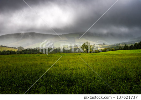 Sao Miguel Island Landscape Sao Miguel Island Landscape 137621737