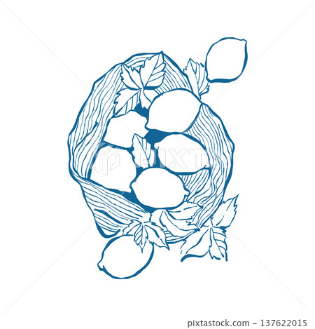 Illustration of lemons and leaves in a wicker beach bag. Citrus vector outline clip art in blue. Summer composition with lemons. Illustration of lemons and leaves in a wicker beach bag. Citrus vector outline clip art in blue. Summer composition with lemons. 137622015