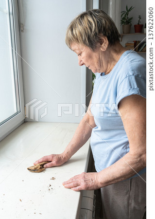 Close-up of an elderly woman's hands scrubbing dirt from a bench sill with a brown natural cloth. Concept of home cleaning and daily care using natural products 137622060