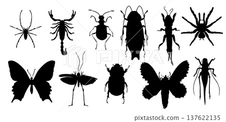 Vector clipart of various insect, beetles and arachnid monochrome silhouettes isolated on white background. Bugs, spiders, scorpion, and butterfly vector illustration for education or design elements. 137622135