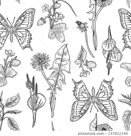 Vector seamless pattern with outline butterflies and wildflowers. Hand drawn botanical illustration for wallpaper and textile print. Black and white ink line art insects drawing repeat background. Vector seamless pattern with outline butterflies and wildflowers. Hand drawn botanical illustration for wallpaper and textile print. Black and white ink line art insects drawing repeat background. 137622140