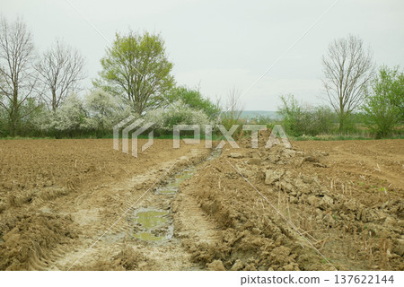 Field erosion damage soil agriculture subsoil result of deep wheel track likely tractor or heavy machinery vehicle hard heavy equipment during spring inappropriate management of earth land landscape Field erosion damage soil agriculture subsoil result of deep wheel track likely tractor or heavy machinery vehicle hard heavy equipment during spring inappropriate management of earth land landscape 137622144