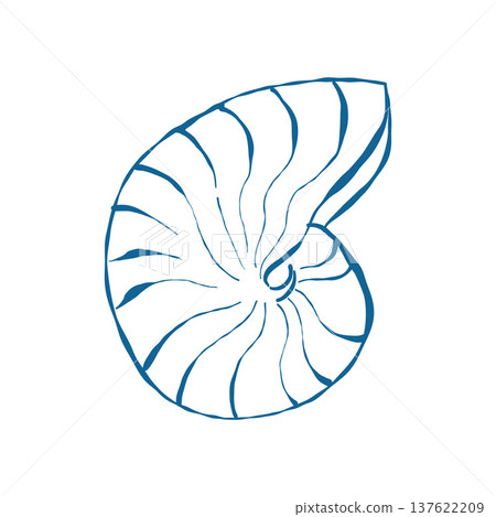 Round seashell in doodle style. Sea snail shell in blue. Twisted spiral shell. Hand drawn vector outline illustration isolated on white background. Round seashell in doodle style. Sea snail shell in blue. Twisted spiral shell. Hand drawn vector outline illustration isolated on white background. 137622209