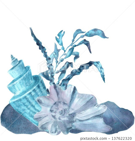A square marine composition of blue and silver shells and seaweed on rocks, hand-drawn in watercolor on an isolated background. Simple clip art of underwater objects for design. A square marine composition of blue and silver shells and seaweed on rocks, hand-drawn in watercolor on an isolated background. Simple clip art of underwater objects for design. 137622320