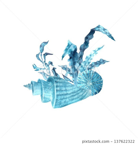 A marine composition of blue shells, sea urchins, and seaweed with leaves, hand-drawn in watercolor on an isolated background. Simple clip art of underwater objects for design 137622322