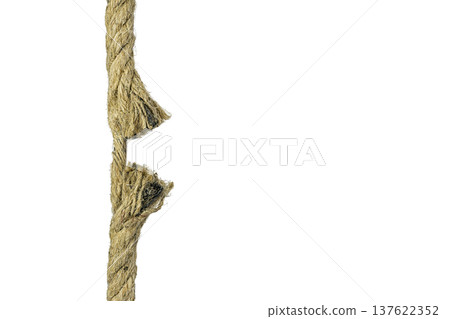 Hemp rope about to snap, final resilient section on white background. 137622352