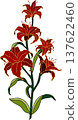 red flowers  137622460