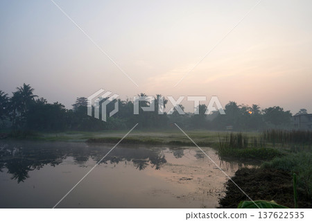 Misty Sunrise Reflection over a Tropical Village Pond Misty Sunrise Reflection over a Tropical Village Pond 137622535