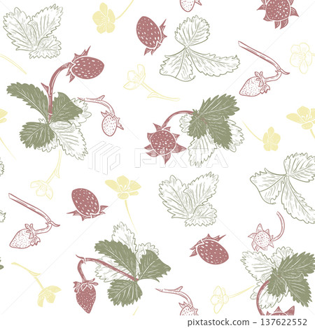 Summer vector seamless pattern with strawberry outline. Botanical hand drawn red berry silhouette. Decorative fabric print background with fruit, leaf and flower. Fresh ripe berry for textile design. Summer vector seamless pattern with strawberry outline. Botanical hand drawn red berry silhouette. Decorative fabric print background with fruit, leaf and flower. Fresh ripe berry for textile design. 137622552