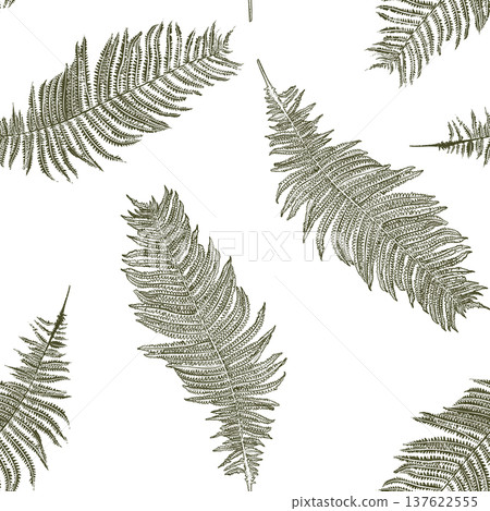 Seamless pattern vector outline fern leaves hand drawn. Botanical wallpaper design with tropical foliage. Organic nature background for textile printing, decoration and wrapping paper surface. Seamless pattern vector outline fern leaves hand drawn. Botanical wallpaper design with tropical foliage. Organic nature background for textile printing, decoration and wrapping paper surface. 137622555
