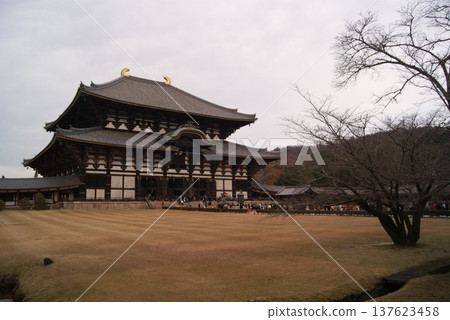 Todaiji Temple in Nara and a winter morning 137623458