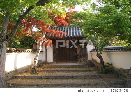 A Japanese-style gate surrounded by trees and autumn leaves 137623478