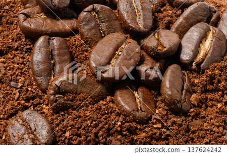 Roasted coffee beans lie on an even layer of freshly ground brown coffee. Top view. 137624242