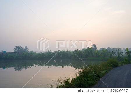 Serene Sunrise over Rural Pond with Banana Tree Plantation and Road 137626067