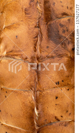 Abstract Brown Leather Texture Background with Rough Surface and Folded Pattern 137627177