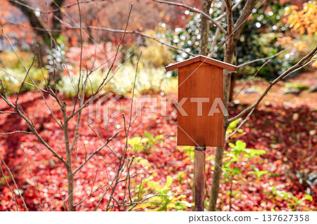 Empty retro wooden billboard in the autumn park. Signboard made of wood with space for text and graphics. Empty retro wooden billboard in the autumn park. Signboard made of wood with space for text and graphics. 137627358