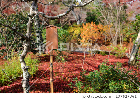 Empty retro wooden billboard in the autumn park. Signboard made of wood with space for text and graphics. Empty retro wooden billboard in the autumn park. Signboard made of wood with space for text and graphics. 137627361