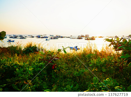 View on marina on bright sunset. Boats at pier are visible in distance. Fishing boats in sea View on marina on bright sunset. Boats at pier are visible in distance. Fishing boats in sea 137627719