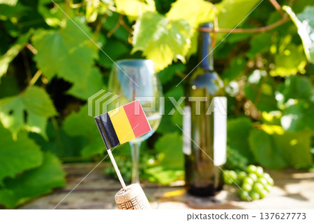 Tasting german wine in vineyard. Wine glass with wine bottle of white wine on table. German flag Tasting german wine in vineyard. Wine glass with wine bottle of white wine on table. German flag 137627773