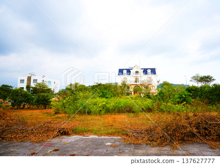 Traditional house in Vietnam among wealthy population. Villa in Asia. Large Suburb house in rural 137627777