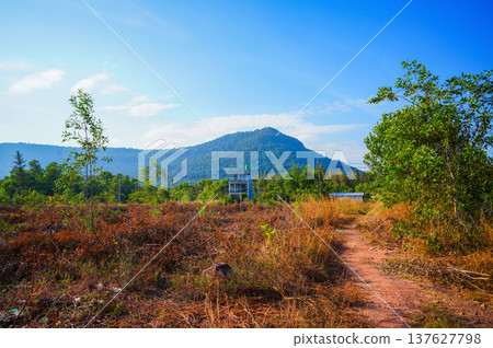 Mountains landscape. Nature scene with path leading in jungle at mountain. Hike in wild nature Mountains landscape. Nature scene with path leading in jungle at mountain. Hike in wild nature 137627798
