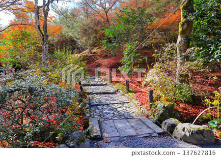 Beautiful Alley, pedestrian path along the tree in garden during autumn. Beautiful Alley, pedestrian path along the tree in garden during autumn. 137627816