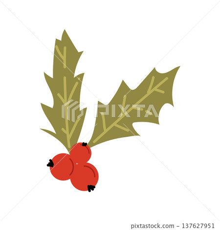 Holly Berry Christmas Decoration Holly Berry Christmas Decoration 137627951