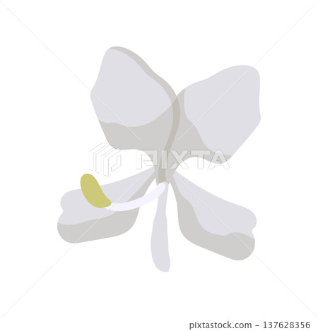 Cuban Orchid 137628356