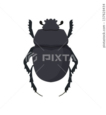 Black Scarab Beetle 137628434