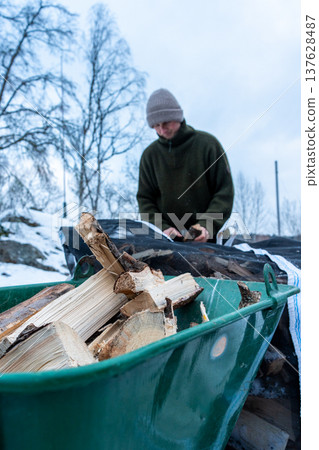Stacking Firewood Outdoors in Snowy Countryside. 137628487