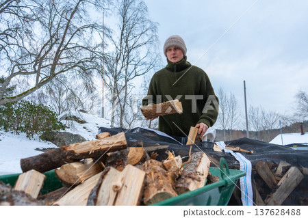 Stacking Firewood Outdoors in Snowy Countryside. 137628488
