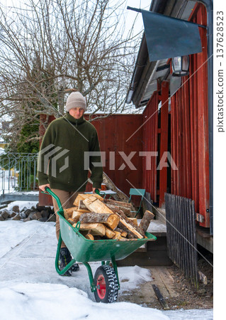 Stacking Firewood Outdoors in Snowy Countryside. 137628523