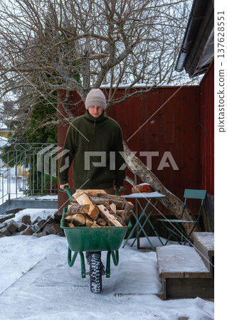 Stacking Firewood Outdoors in Snowy Countryside. 137628551
