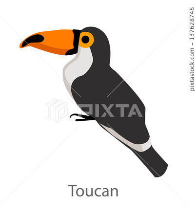 Flat vector illustration of a toucan in side view. Tropical bird with a large colorful beak isolated on a white background. Flat vector illustration of a toucan in side view. Tropical bird with a large colorful beak isolated on a white background. 137628748
