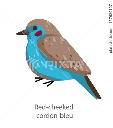 Flat vector illustration of a red cheeked cordon bleu in side view. Small colorful African finch isolated on a white background. Flat vector illustration of a red cheeked cordon bleu in side view. Small colorful African finch isolated on a white background. 137629107