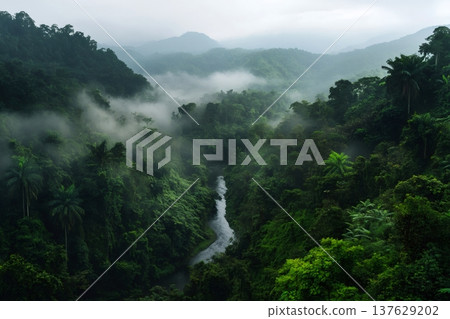Dense rainforest with mist covered mountains and a winding river creating a natural, wild, and ecological environment 137629202