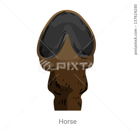 Cartoon vector illustration of a horse hoof showing the solid hoof structure and leg section isolated on a white background for farm or zoology education. 137629280