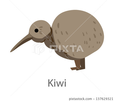Flat vector illustration of a kiwi bird in side view. Flightless bird from New Zealand isolated on a white background. 137629321