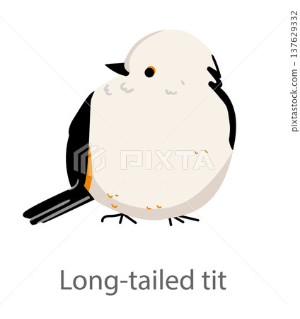 Flat vector illustration of a long-tailed tit in side view. Cute small songbird with a fluffy round body isolated on a white background. 137629332