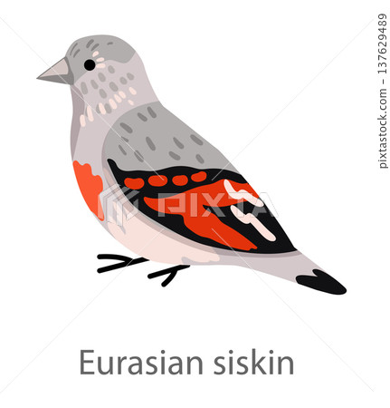 Flat vector illustration of a Eurasian siskin in side view. Small finch bird isolated on a white background suitable for educational and design use. Flat vector illustration of a Eurasian siskin in side view. Small finch bird isolated on a white background suitable for educational and design use. 137629489