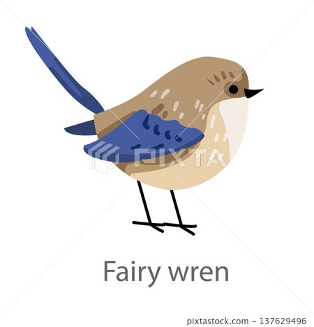 Flat vector illustration of a fairy wren in side view with blue wings. Cute small songbird isolated on a white background. Flat vector illustration of a fairy wren in side view with blue wings. Cute small songbird isolated on a white background. 137629496